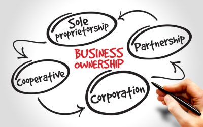 Choosing the Right Business Entity in Florida: LLC vs. Corporation vs. Partnership…